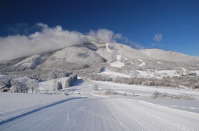 非圧雪コース特集｜雪景色のイメージ