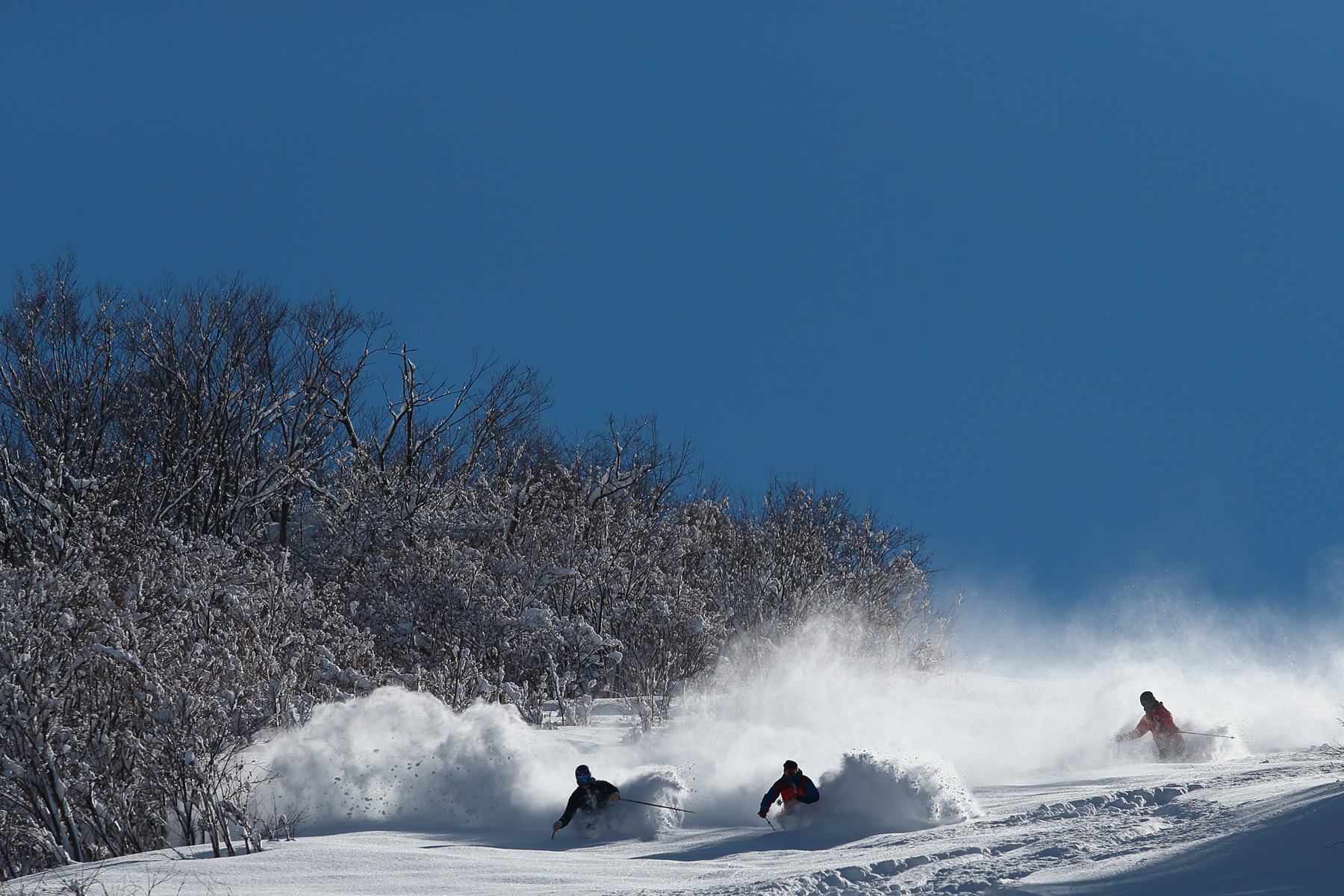 舞子スノーリゾート｜アクセスが良く朝イチパウダー狙い向き（新潟）