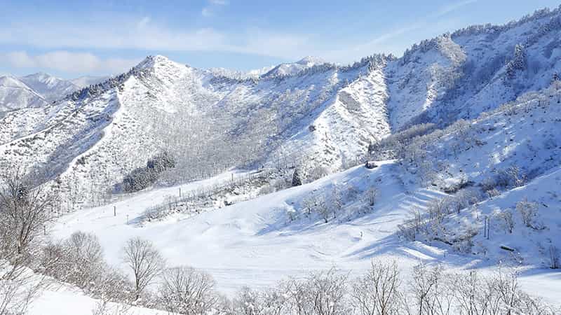 スキー・スノボツアー　湯沢中里スノーリゾート