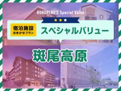 斑尾スペシャルバリュー