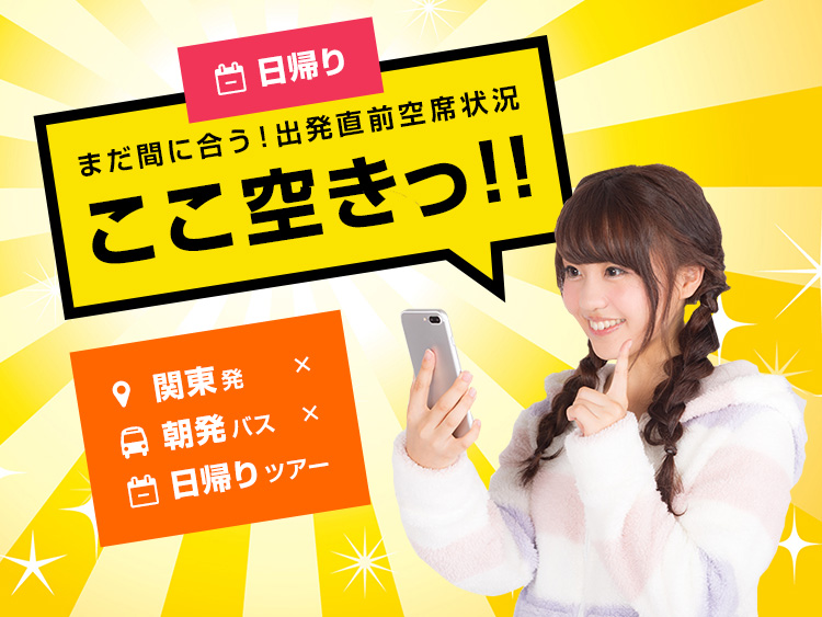 ここ空きっ!!【関東発 × 朝発バス × 日帰り】