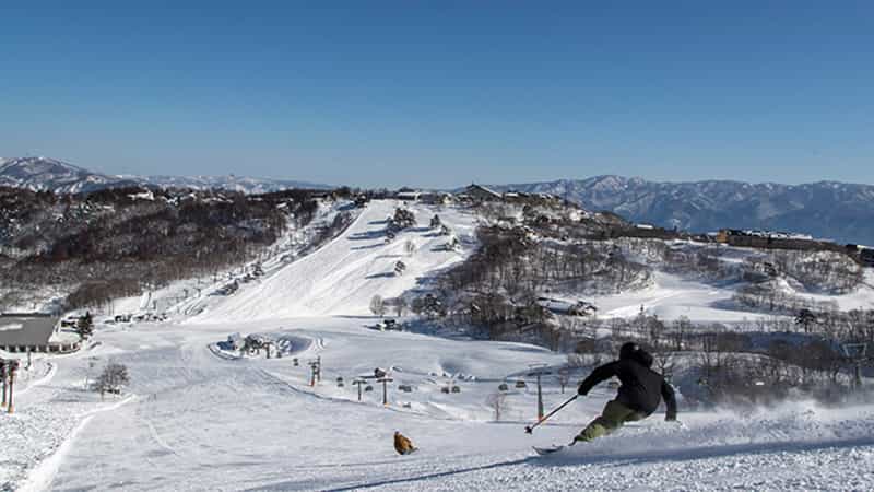 斑尾高原スキー場&タングラムスキーサーカス｜スキー場｜スキーツアー 