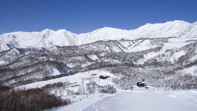 HAKUBA VALLEY 栂池高原