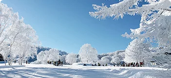 日帰りスキー・スノボツアー　野沢温泉スキー場