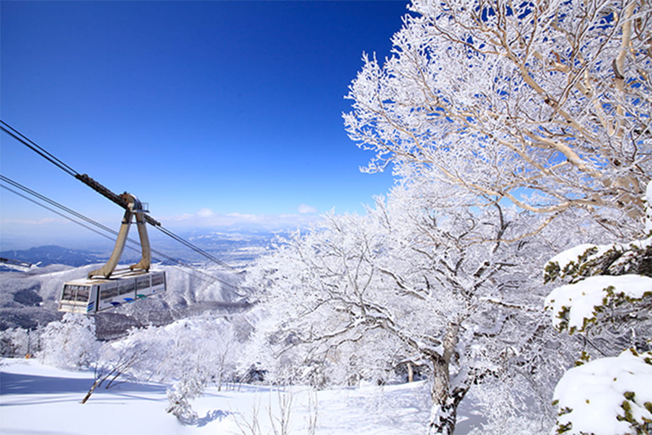 竜王スキーパークの画像
