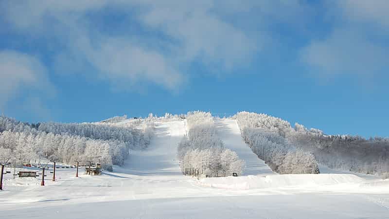 菅平高原パインビークスキー場