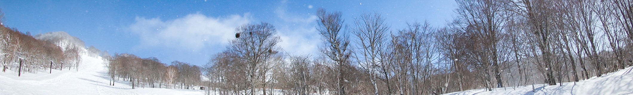 スキーバス・スノボバス たんばらルート