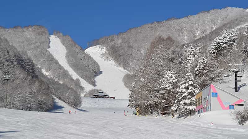 ホワイトワールド尾瀬岩鞍