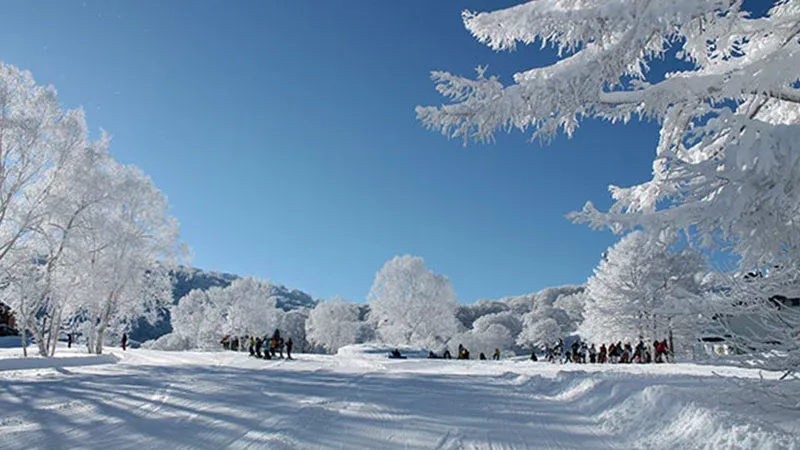 野沢温泉スキー場